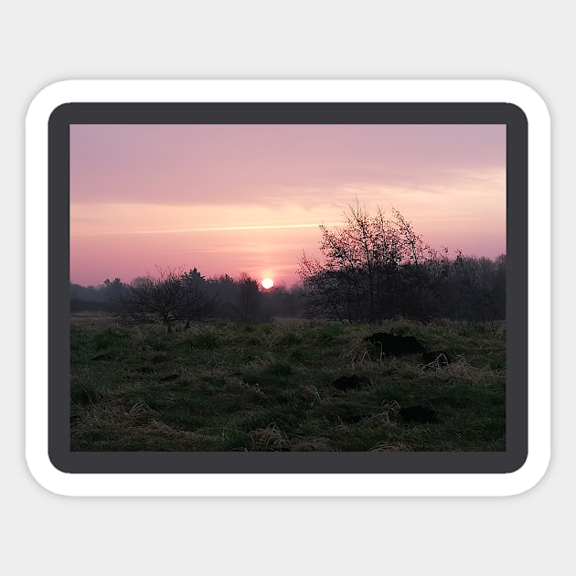 Pink Sunset In The Danish Countryside Sticker by colorful444